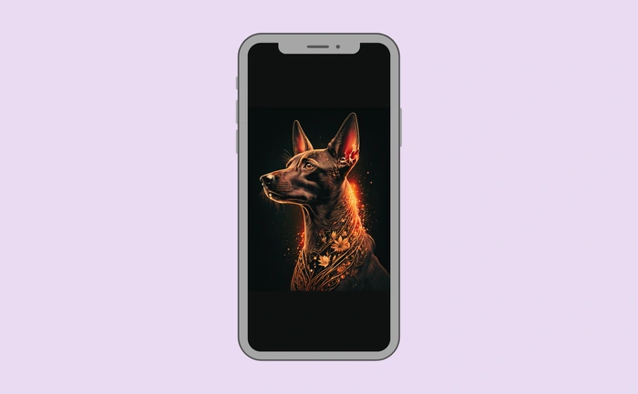 Wallpaper preview on smartphone