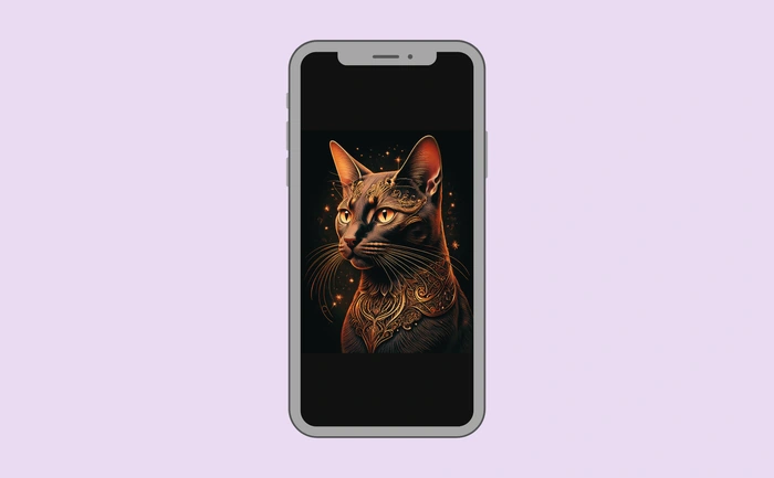 Wallpaper preview on smartphone