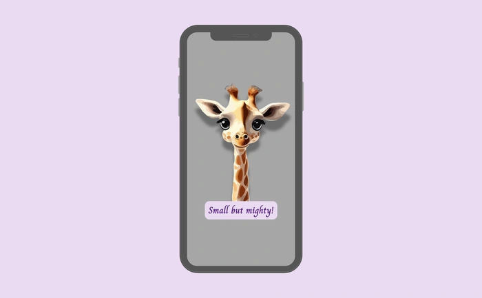 Wallpaper preview on smartphone