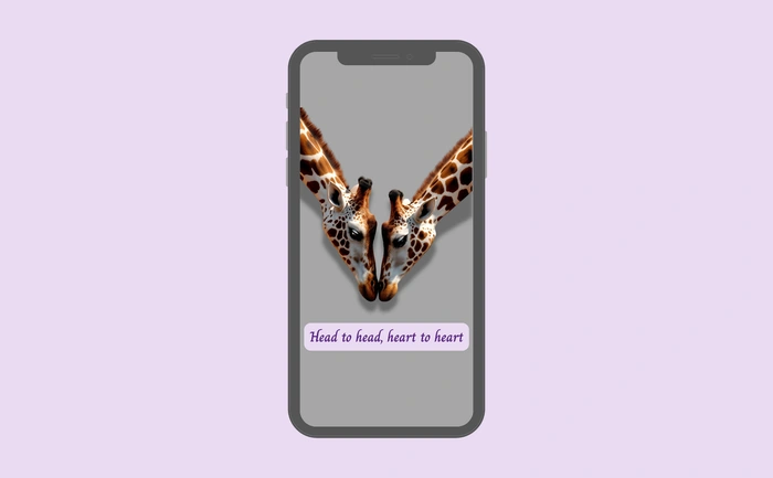 Wallpaper preview on smartphone
