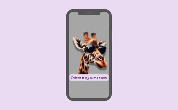 Wallpaper preview on smartphone