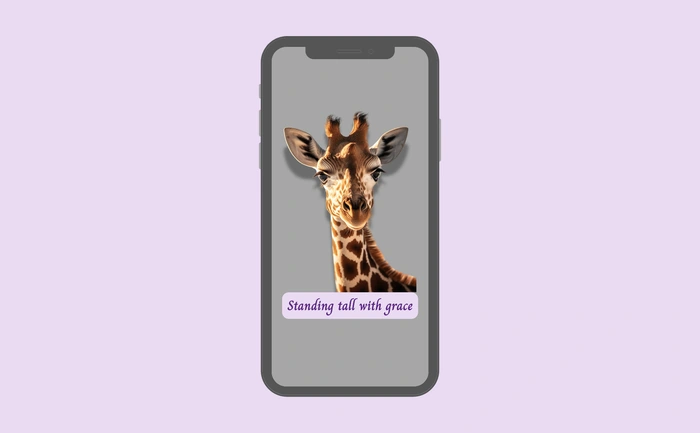 Wallpaper preview on smartphone