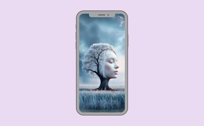 Wallpaper preview on smartphone