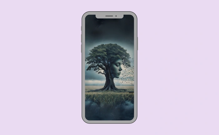 Wallpaper preview on smartphone