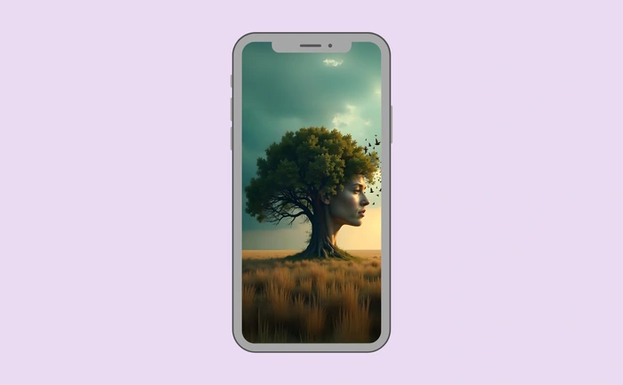 Wallpaper preview on smartphone
