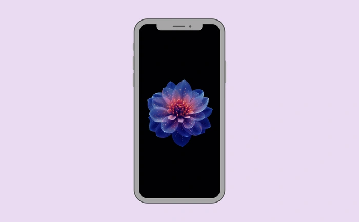 Wallpaper preview on smartphone