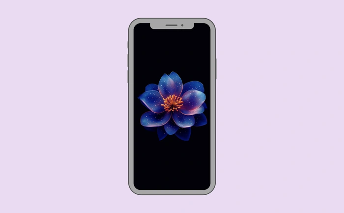 Wallpaper preview on smartphone