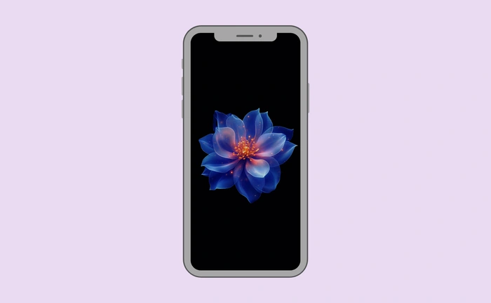 Wallpaper preview on smartphone