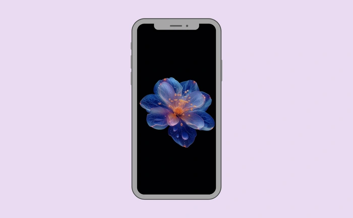 Wallpaper preview on smartphone