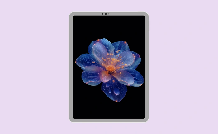 Wallpaper preview on tablet