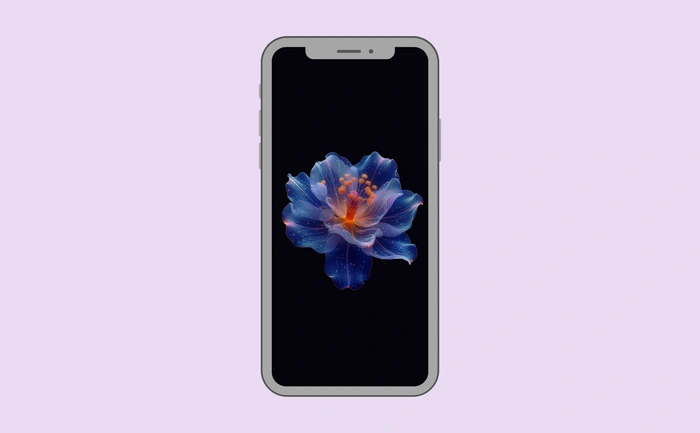 Wallpaper preview on smartphone