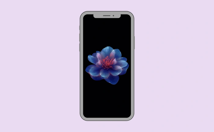 Wallpaper preview on smartphone