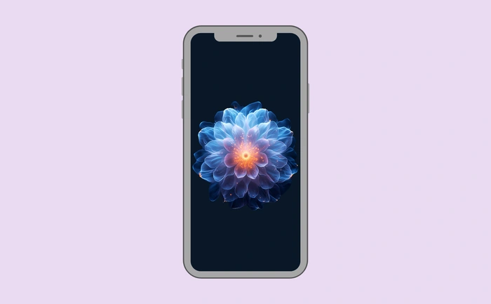 Wallpaper preview on smartphone
