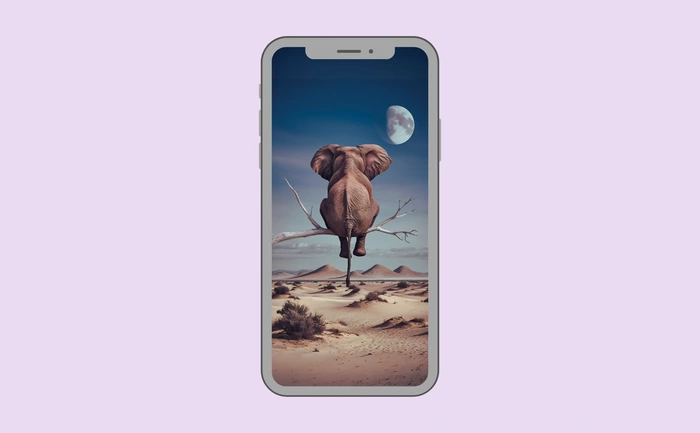 Wallpaper preview on smartphone