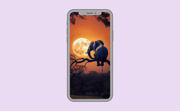 Wallpaper preview on smartphone