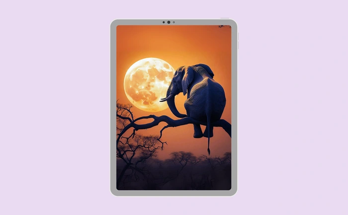 Wallpaper preview on tablet