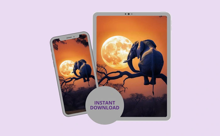 Instant download for phone and tablet