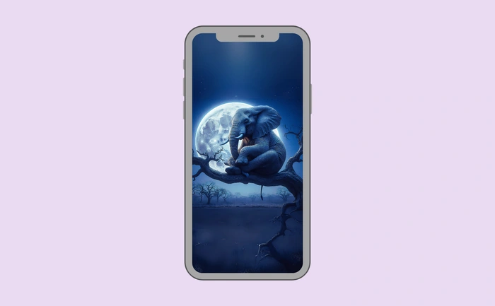 Wallpaper preview on smartphone