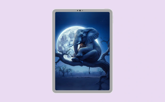 Wallpaper preview on tablet
