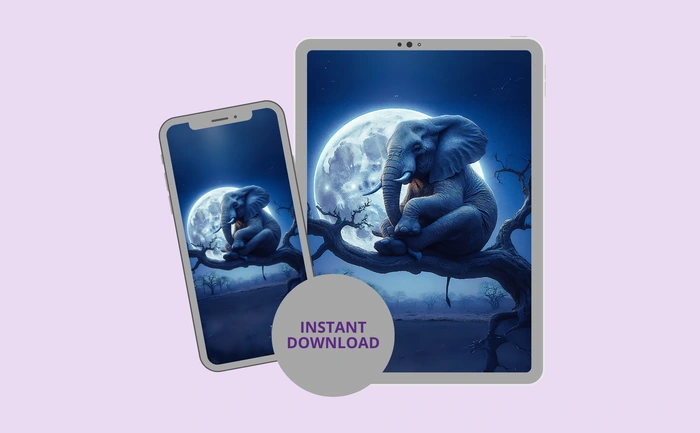 Instant download for phone and tablet