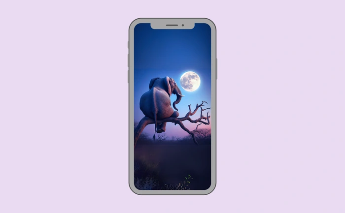 Wallpaper preview on smartphone