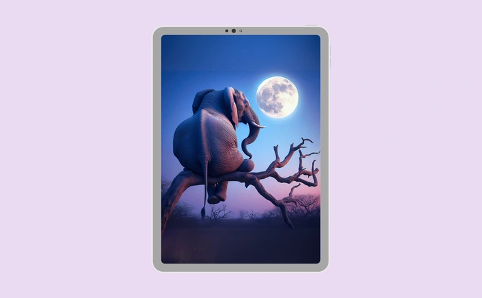 Wallpaper preview on tablet