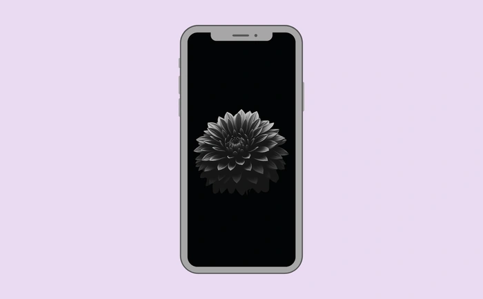 Wallpaper preview on smartphone