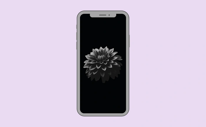 Wallpaper preview on smartphone