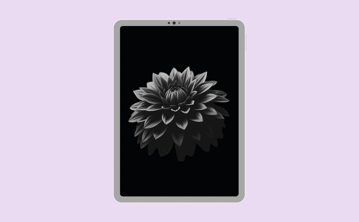 Wallpaper preview on tablet