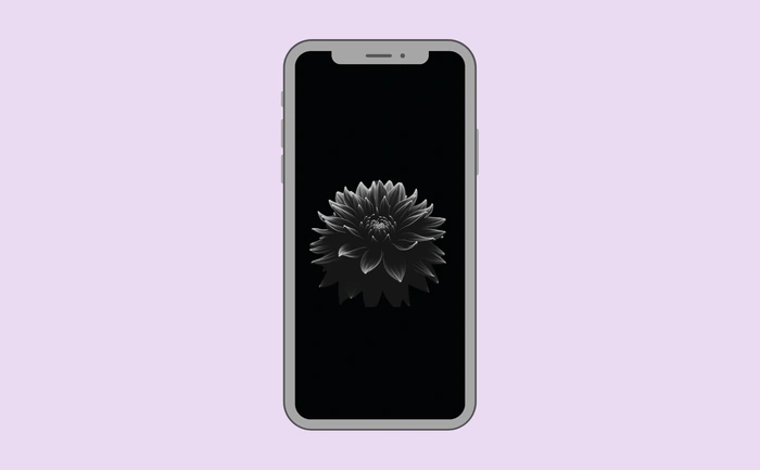 Wallpaper preview on smartphone
