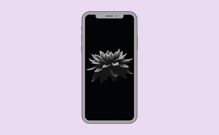 Wallpaper preview on smartphone