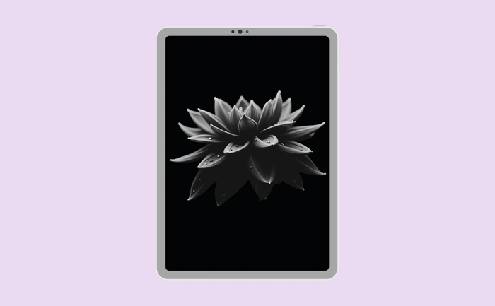 Wallpaper preview on tablet