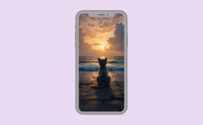 Wallpaper preview on smartphone