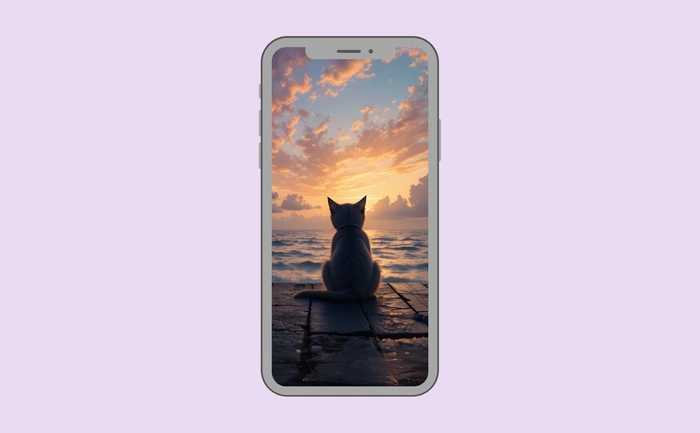 Wallpaper preview on smartphone
