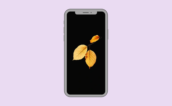 Wallpaper preview on smartphone