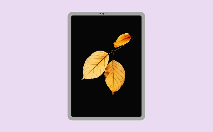 Wallpaper preview on tablet