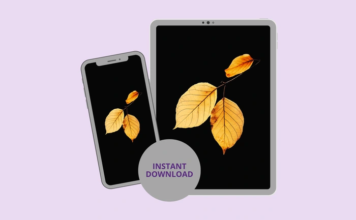 Instant download for phone and tablet