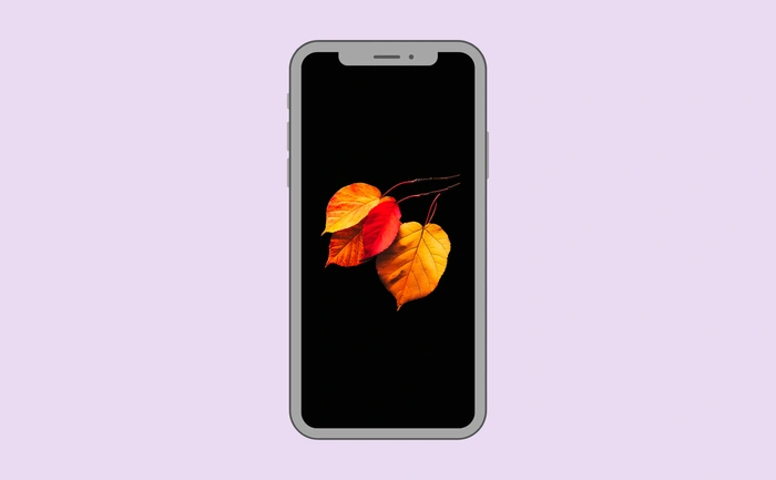 Wallpaper preview on smartphone