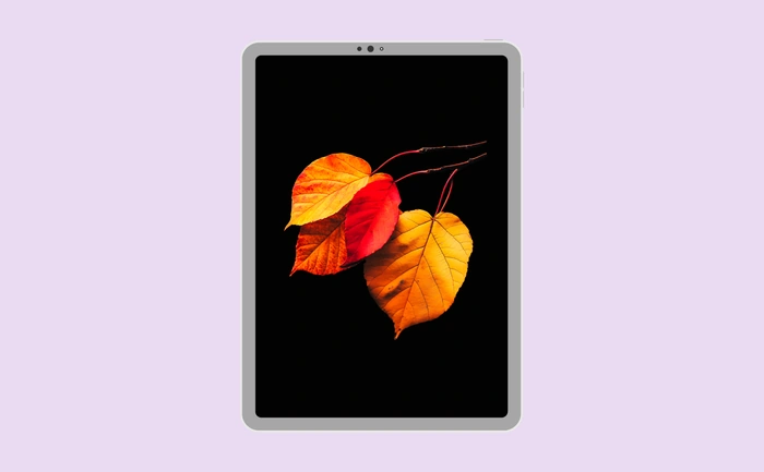 Wallpaper preview on tablet