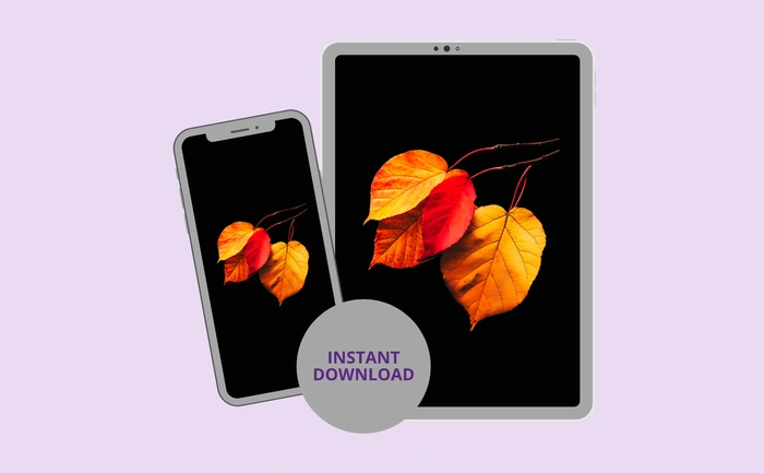Instant download for phone and tablet