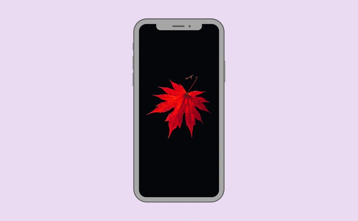 Wallpaper preview on smartphone