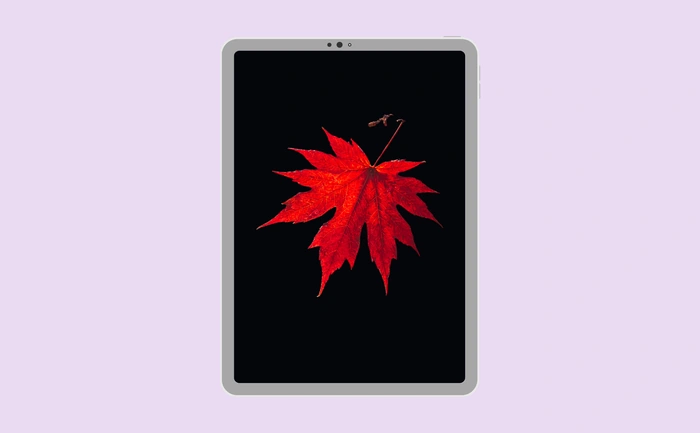 Wallpaper preview on tablet