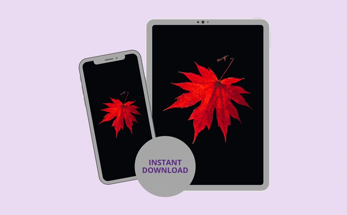 Instant download for phone and tablet