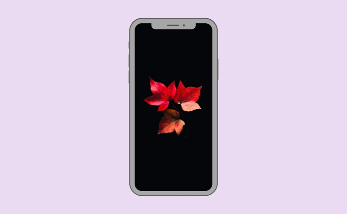 Wallpaper preview on smartphone