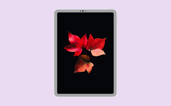 Wallpaper preview on tablet