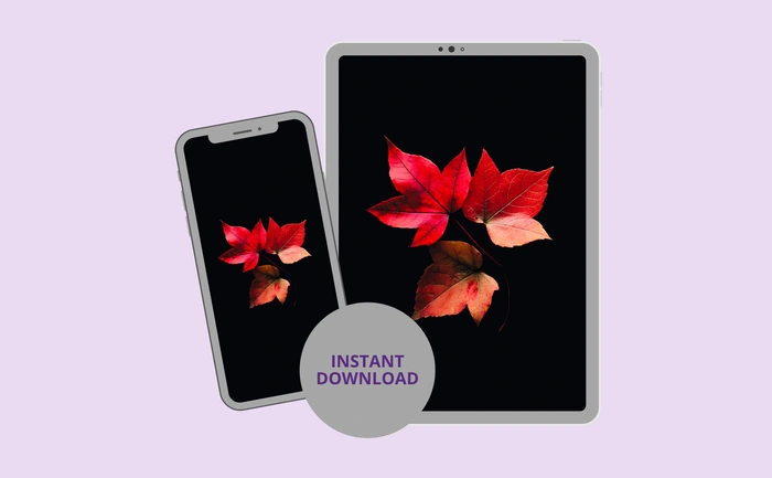 Instant download for phone and tablet