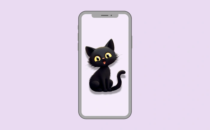 Wallpaper preview on smartphone