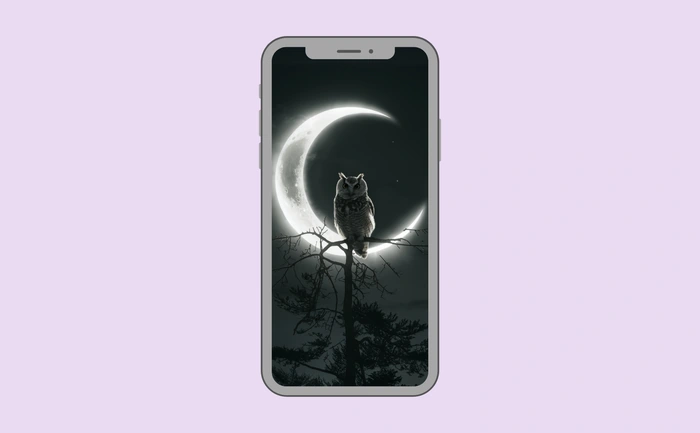 Wallpaper preview on smartphone