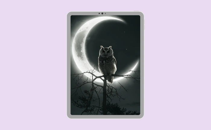 Wallpaper preview on tablet
