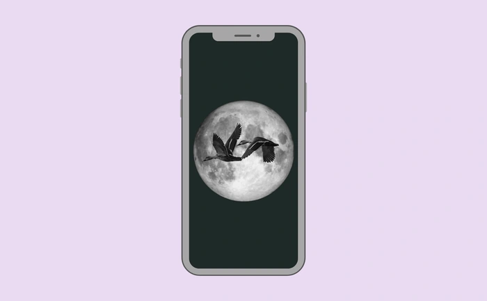 Wallpaper preview on smartphone